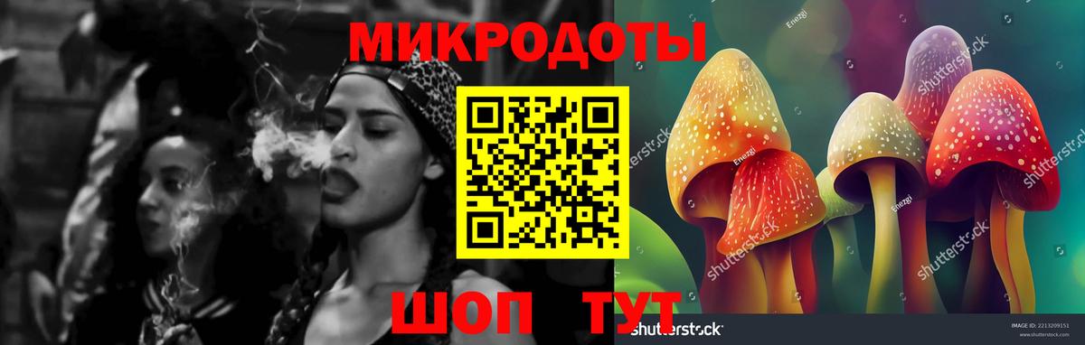 Дмитров  Галлюциногенные грибы ЛСД  Вход с VPN  купить закладку  Псилоцибиновые грибы мицелий 