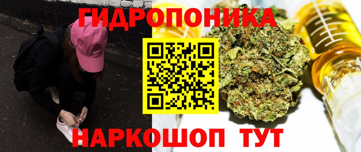 Канабис планчик Дмитров